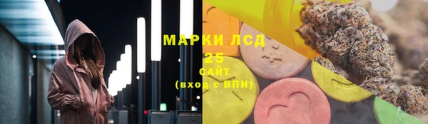 spice Богданович