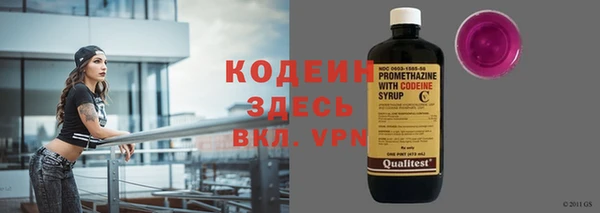 spice Богданович