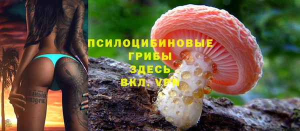 прущие крисы Богородск