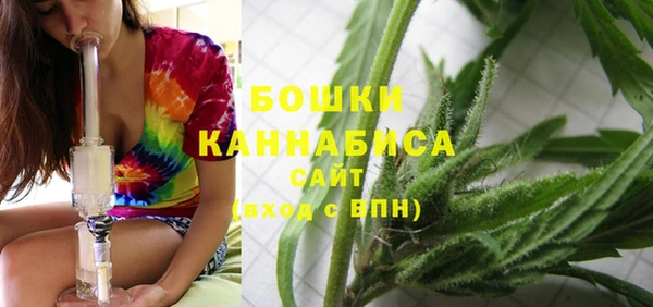 spice Богданович