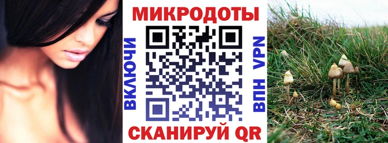 Галлюциногенные грибы Psilocybine cubensis  продажа наркотиков  Покровск 